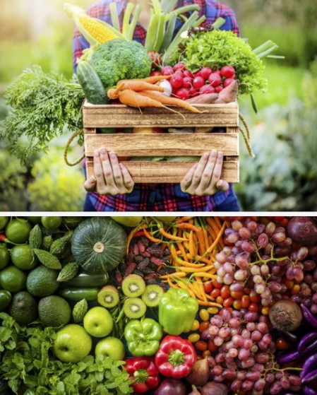 Renolfi vendita frutta fresca e verdura provincia di novara